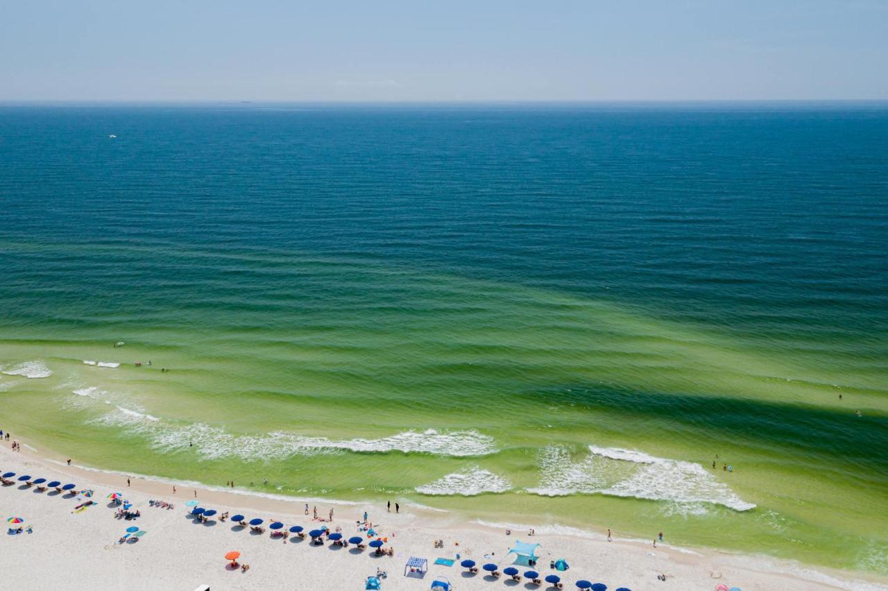 Sunset Spring Break Special ! Apartment Gulf Shores Bagian luar foto